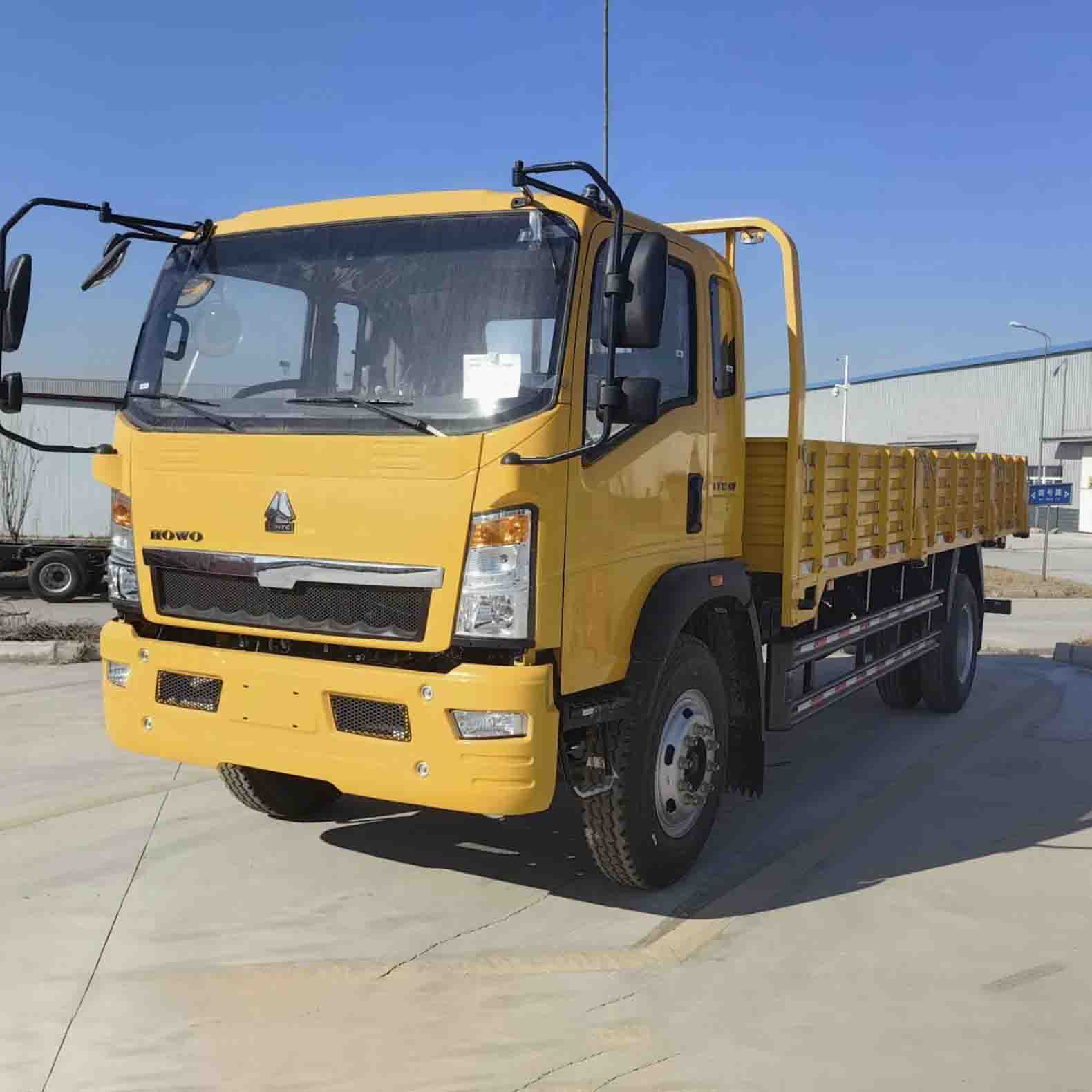 Sinotruk Howo 4x2 Light Cargo Truck